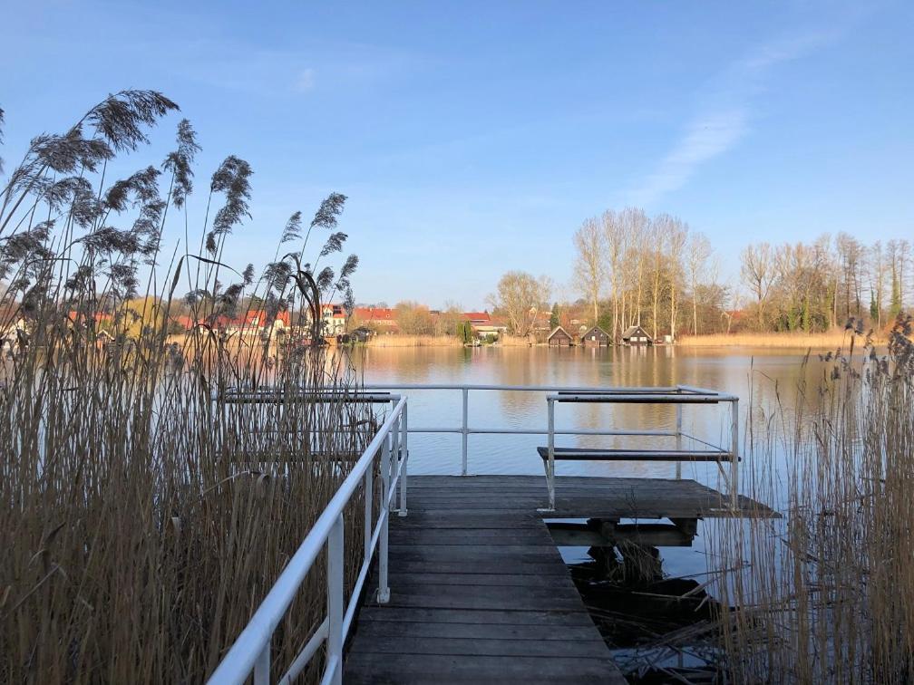 Ferienhaus Am Klosterwald Dargun ภายนอก รูปภาพ