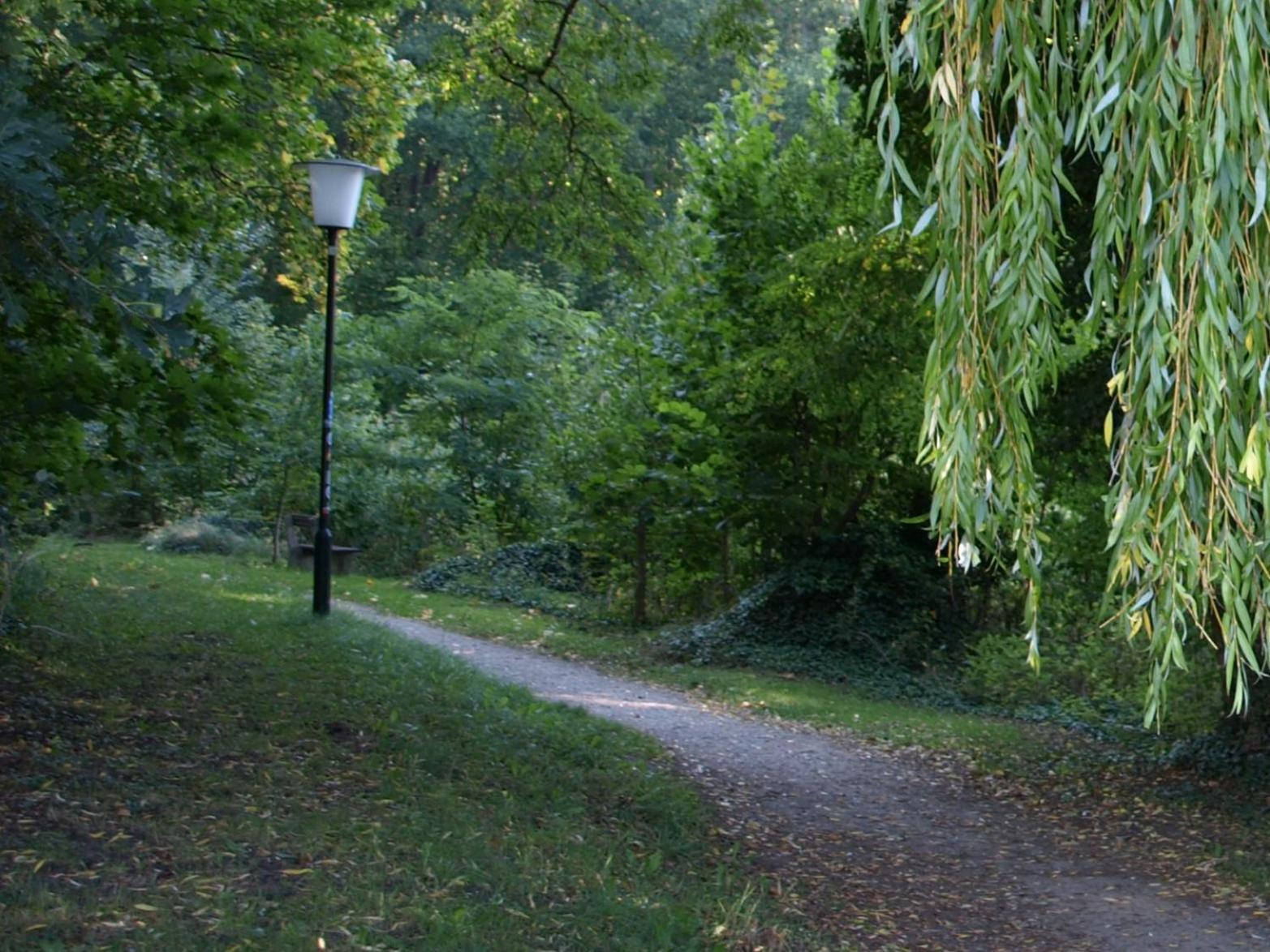 Ferienhaus Am Klosterwald Dargun ภายนอก รูปภาพ